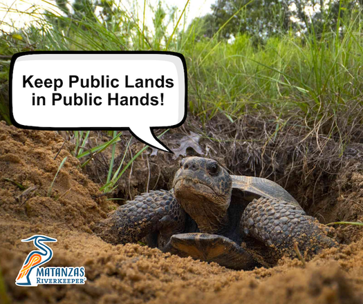 Keep Public Lands in Public Hands 